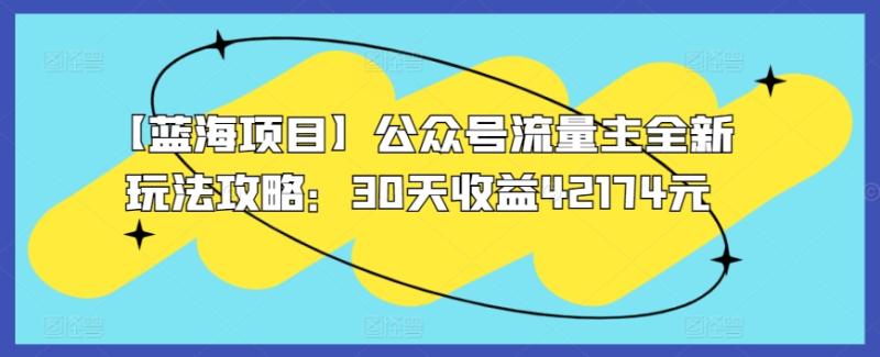 【蓝海领域】公众号流量主全新玩法攻略：30天收益42174元【揭秘】-九源吧网赚