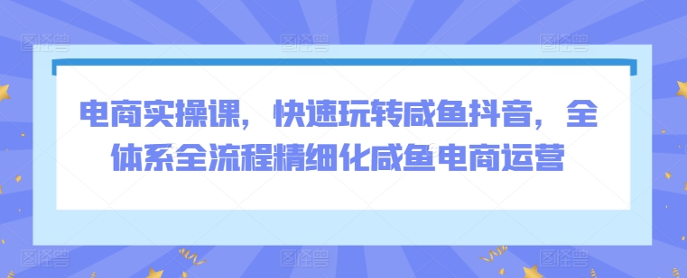 电商实操课，快速玩转咸鱼抖音，全体系全流程精细化咸鱼电商运营-九源吧资源站