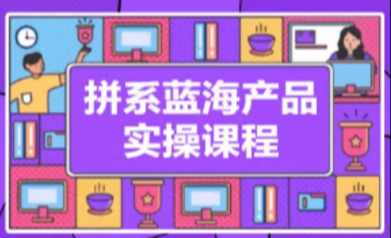 拼系冷门蓝海产品实操课程，从注册店铺到选品上架到流量维护环环相扣-九源吧资源站