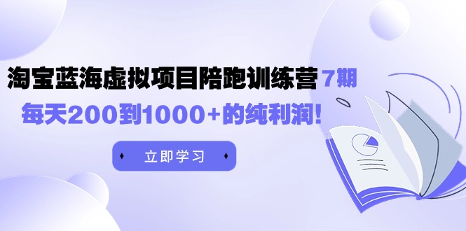 《淘宝蓝海虚拟项目陪跑训练营7期》每天200到1000+的纯利润-九源吧资源站