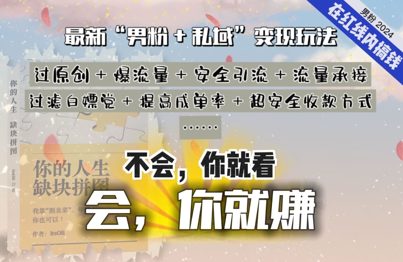 2024，“男粉+私域”还是最耐造、最赚、最轻松、最愉快的变现方式【揭秘】-九源吧资源站