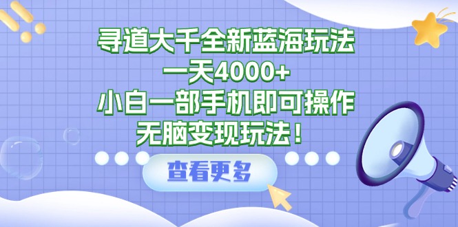 寻道大千全新蓝海玩法，一天4000+，小白一部手机即可操作，无脑变现玩法！-九源吧网赚
