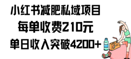 小红书减肥私域项目每单收费210元单日成交20单，最高日入4200+-九源吧网赚