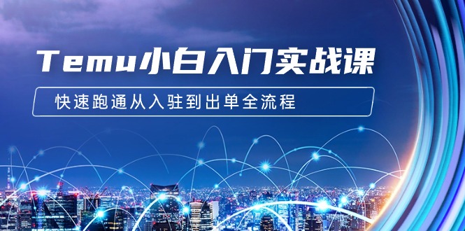 Temu小白入门实战课：跨境拼多多电商培训 快速跑通从入驻到出单全流程-12节-九源吧网赚