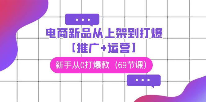 电商 新品选品：从上架到打爆【推广+运营】，新手从0打爆款（69节课）-九源吧网赚