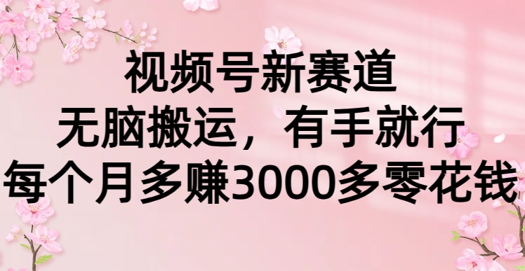 视频号新赛道，无脑搬运，有手就行，每个月多赚3000多零花钱-九源吧资源站