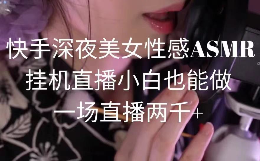 快手深夜美女狐媚ASMR挂机直播，小白也能做，一场直播两千+-九源吧网赚