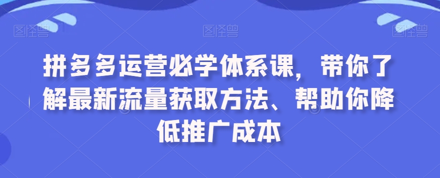 拼多多运营必学体系课程，最新流量获取方法、帮助你降低推广成本-九源吧网赚