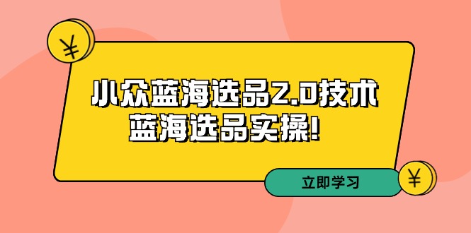 拼多多开店培训第33期：小众蓝海选品2.0技术-蓝海选品运营实操！-九源吧网赚
