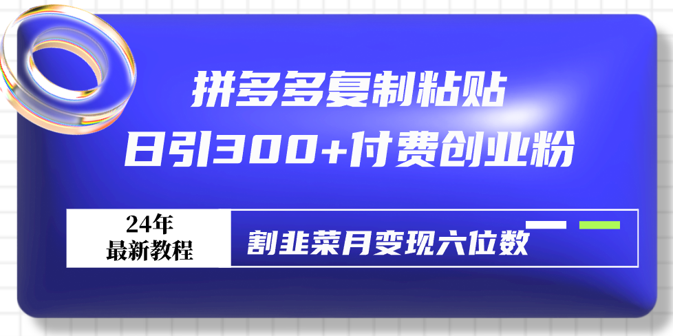 最新拼多多复制粘贴，日引300+付费创业粉，割韭菜月变现六位数-九源吧网赚
