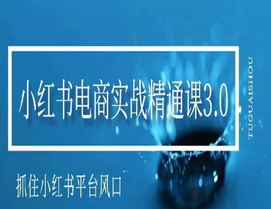 小红书电商实战课程，抓住小红书平台的风口，不错过有一个赚钱的机会-九源吧网赚