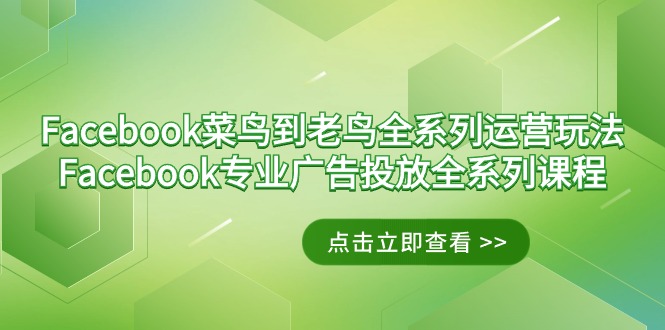 Facebook-菜鸟到老鸟全系列运营玩法+Facebook-专业广告投放全系列课程-九源吧网赚学院