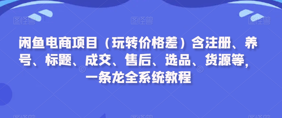闲鱼电商项目（玩转价格差）含注册、养号、标题、成交、售后、选品、货源等，一条龙全系统教程-九源吧网赚