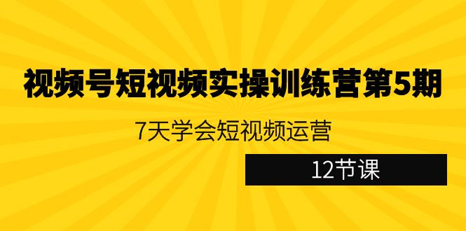 视频号短视频实操训练营第5期：7天学会短视频运营（12节课）-九源吧资源站