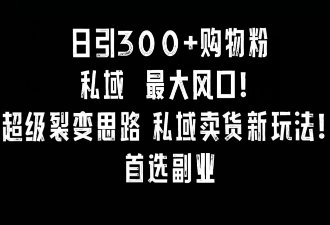每日引300+购物粉，超级裂变新思路，私域卖货新玩法，小红书首选副业-九源吧网赚学院