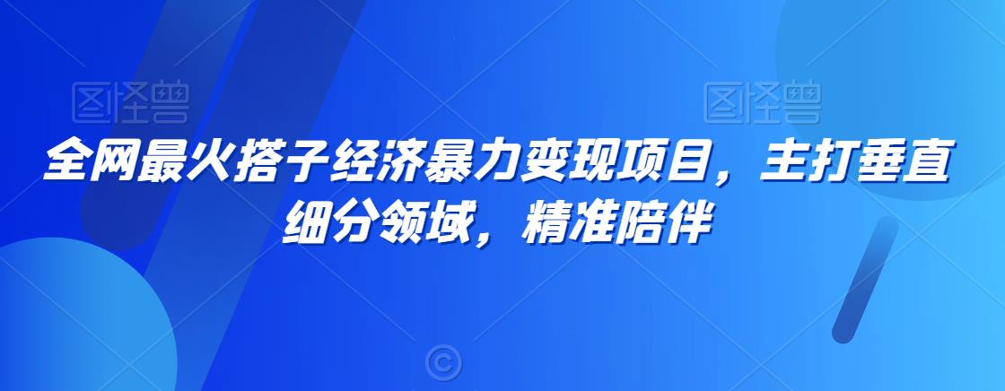 全网最火搭子经济暴力变现项目，主打垂直细分领域，精准陪伴【揭秘】-九源吧网赚
