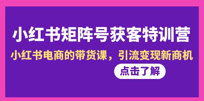小红书矩阵号获客营-第10期，小红书电商的带货特训课，引流变现新商机-九源吧网赚