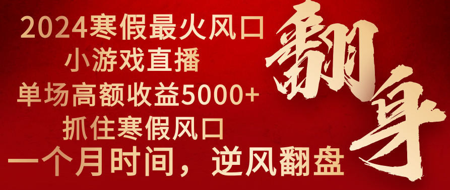 2024年最火寒假风口项目 小游戏直播 单场收益5000+抓住风口 一个月直接提车-九源吧网赚