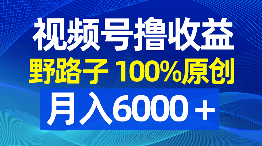 视频号野路子玩法，撸收益，100%原创，条条爆款，月入6000＋-九源吧网赚