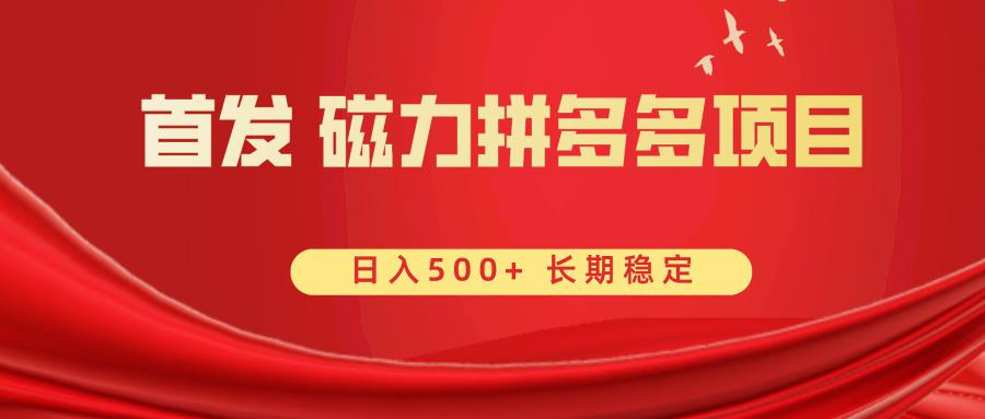首发 磁力拼多多自撸 日入500+-九源吧网赚