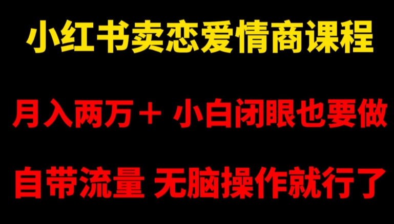 小红书卖恋爱情商课程，月入两万＋，小白闭眼也要做，自带流量，无脑操作就行了【揭秘】-九源吧网赚学院