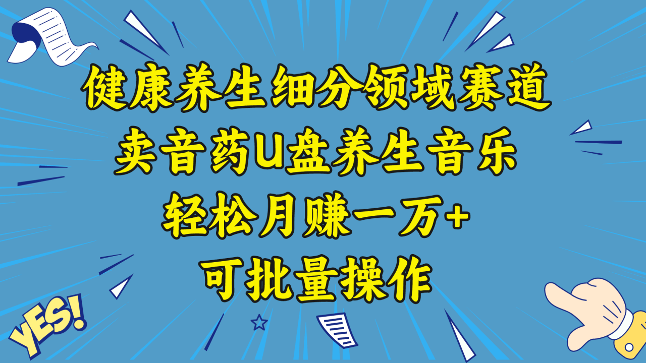 五行音乐养生：细分领域赛道卖音药U盘，打造轻松月赚一万+的健康养生项目-九源吧网赚