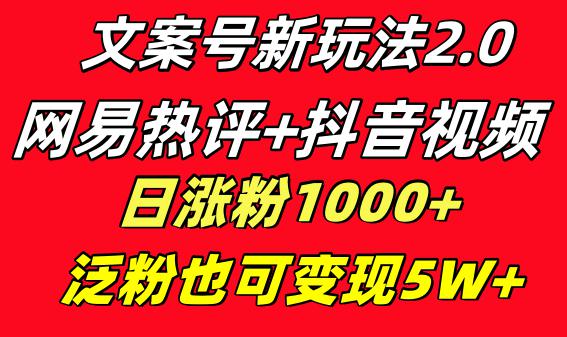 文案号新玩法：网易热评+抖音文案 一天涨粉1000+ 多种变现模式 泛粉也可变现-九源吧网赚学院