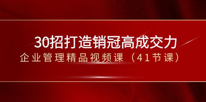 30招-打造销冠高成交力-企业管理精品视频课（41节课）-九源吧网赚