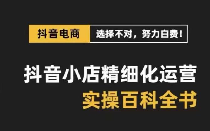 【抖音小店运营攻略】精选高利润产品，解决电商运营难题，保姆级实战讲解（28节课）-九源吧网赚