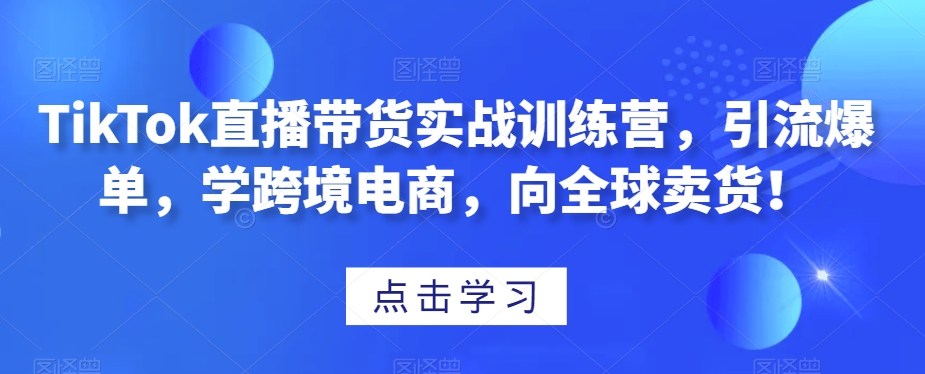 TikTok直播带货，学跨境电商，引爆全球卖货！实战训练营-九源吧网赚