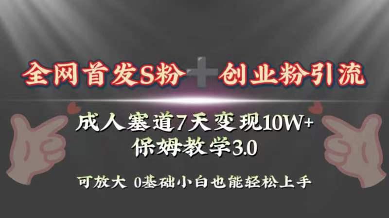 暴力引流玩法揭秘！7天成人赛道10W+变现，轻松上手！保姆3.0-九源吧网赚