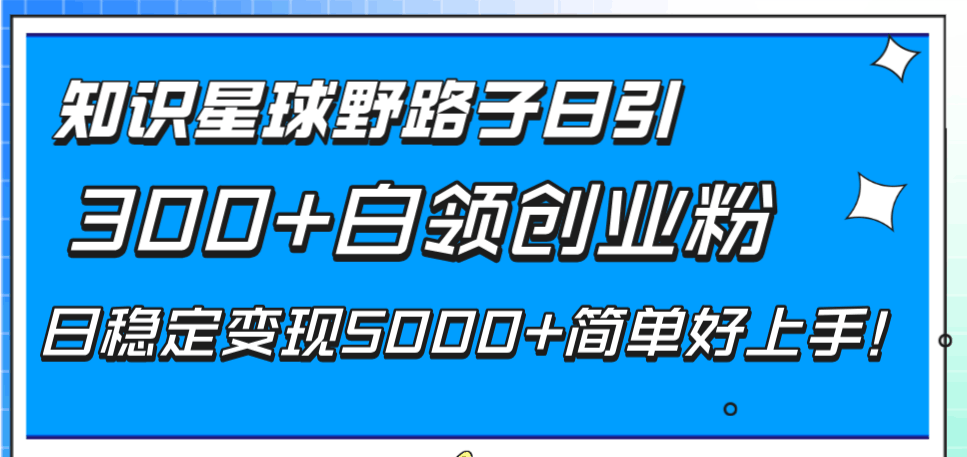 知识星球野路子日引300+白领创业粉，日稳定变现5000+简单好上手！-九源吧网赚