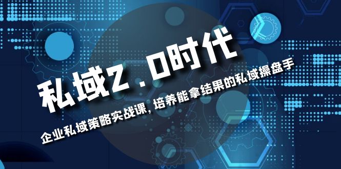 私域2.0时代：拥有自己的私域策略，打造成功的私域操盘手！-九源吧网赚