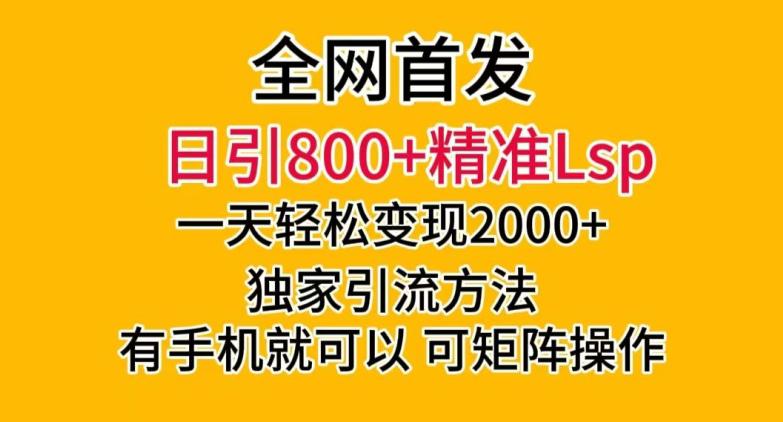 全网首发！日引800+精准老色批，一天变现2000+，独家引流方法，可矩阵操作【揭秘】-九源吧网赚