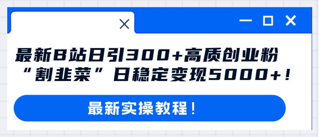 哔哩哔哩（B站）引流高质量创业粉教程：日引300+，“割韭菜”日稳定变现5000+！-九源吧网赚