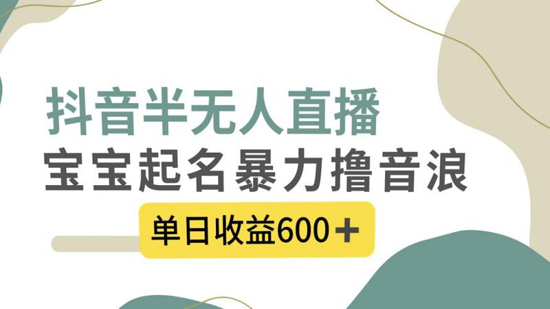 抖音半无人直播，宝宝起名，暴力撸音浪，单日收益600+-九源吧网赚学院