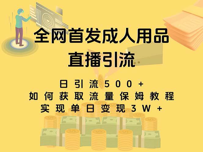 最新全网独创首发，成人用品直播引流获客暴力玩法，单日变现3w保姆级教程-九源吧网赚