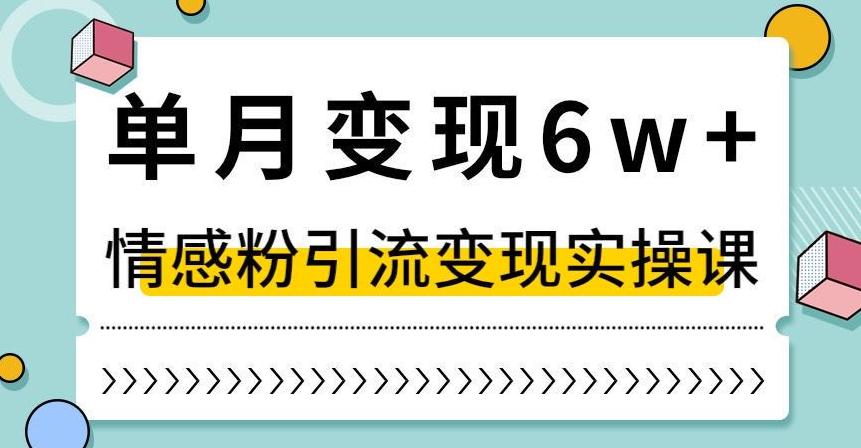 抖音情感粉引流变现实操课，快速上手，小白也能轻松月入6W！-九源吧网赚