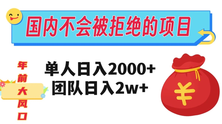 在国内不怕被拒绝的项目，单人日入2000，团队日入20000，不容错过！-九源吧网赚