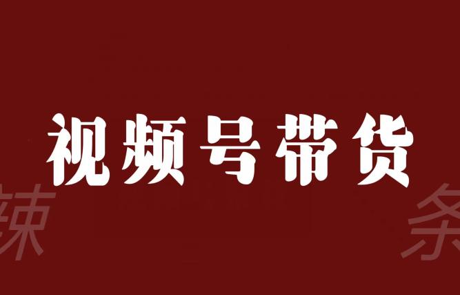 视频号带货联盟，赚信息差的带货钱，只要有手机随时随地都可以做！-九源吧网赚学院