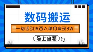 仅靠一句话引流百人变现3万？-九源吧网赚