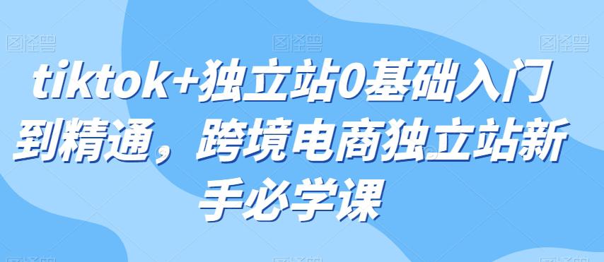 TIKTOK+独立站0基础入门到精通，跨境电商独立站新手必学课-九源吧网赚