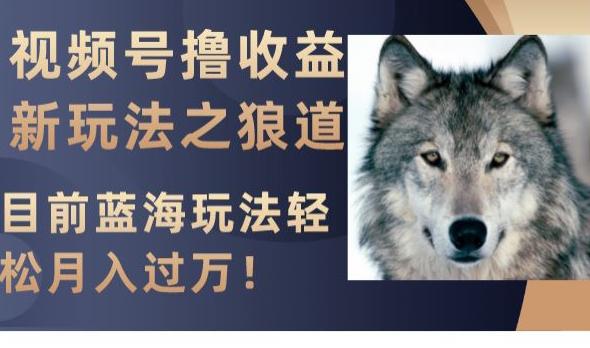 视频号撸收益新玩法之狼道，目前蓝海玩法，轻松月入过万【揭秘】-九源吧网赚