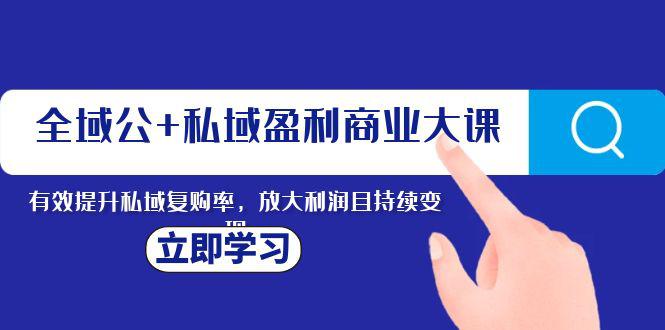 全域营销：私域盈利的商业新课，持续变现利润，提高复购率-九源吧资源站