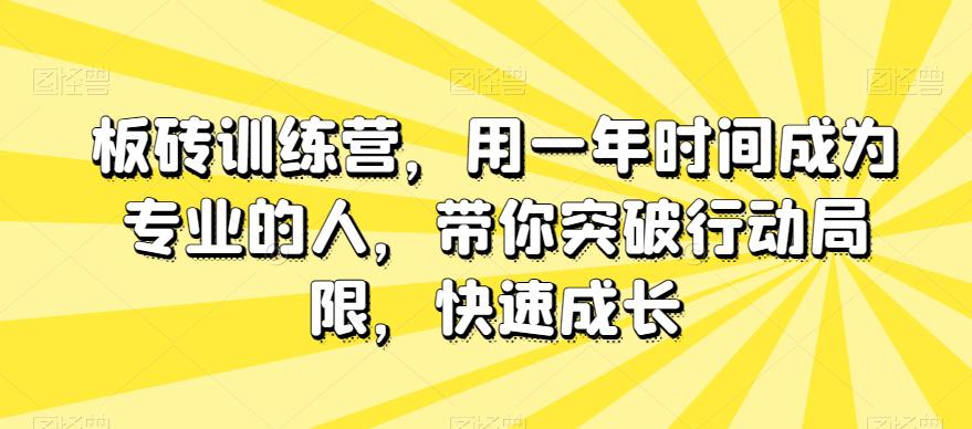 板砖训练营，用一年时间成为专业的人，带你突破行动局限，快速成长-九源吧网赚
