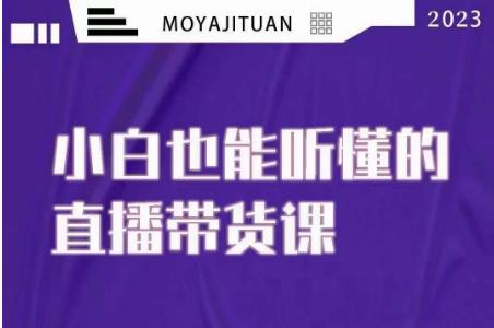 大威本威·直播带货课揭秘：小白也能听懂，20节完整实操-九源吧网赚学院