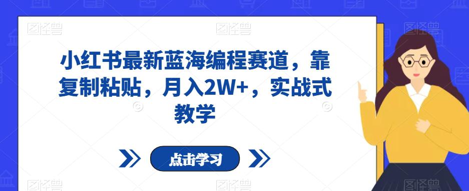 小红书最新蓝海编程赛道，靠复制粘贴，月入2W+，实战式教学【揭秘】-九源吧网赚学院