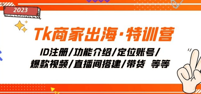 TK商家出海·特训营：ID注册/功能介绍/定位账号/爆款视频/直播间搭建/带货-九源吧网赚