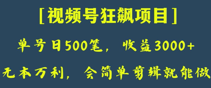 日收款500笔，纯利润3000+，视频号狂飙项目，会简单剪辑就能做【揭秘】-九源吧网赚
