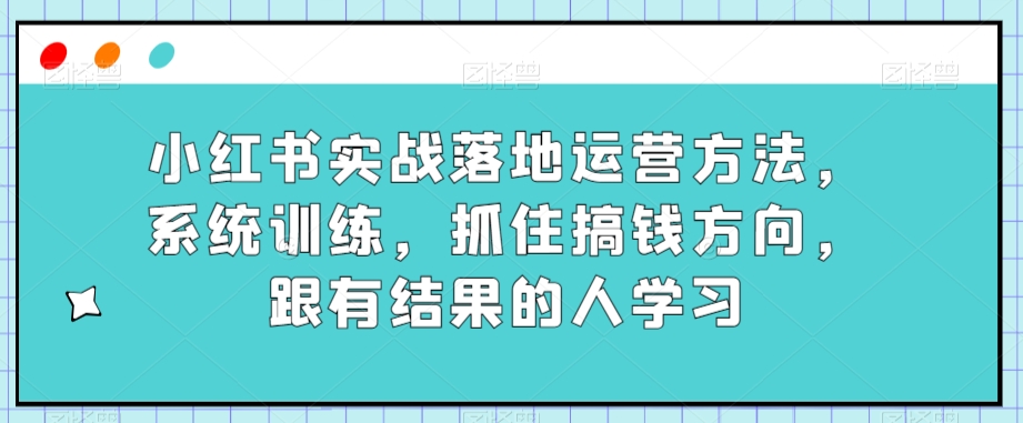 小红书实战落地运营方法，系统训练，抓住搞钱方向，跟有结果的人学习-九源吧网赚学院